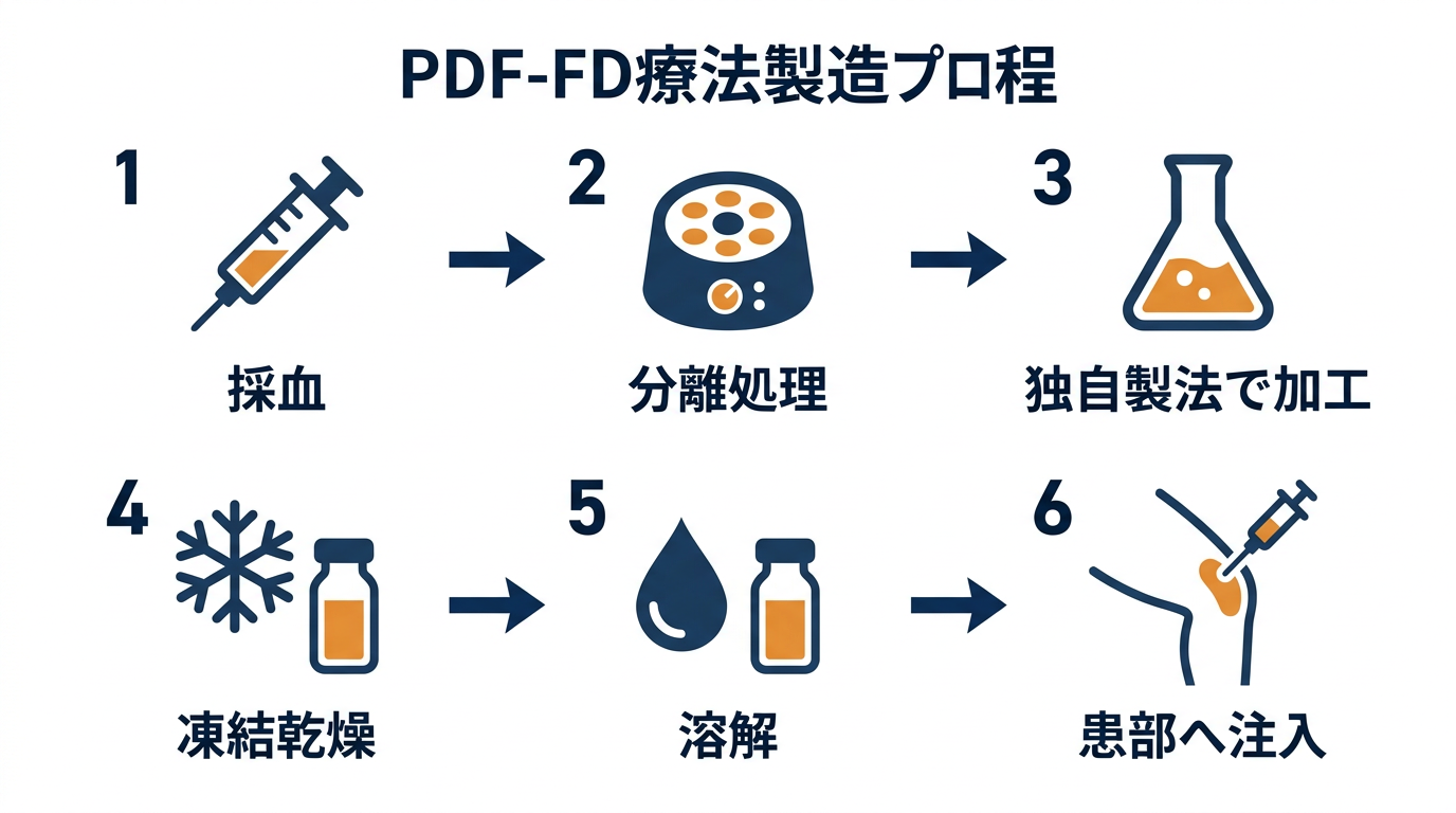 PDF-FD療法の製造プロセス：採血→分離処理→独自製法で加工→凍結乾燥→投与前に溶解→患部へ注入